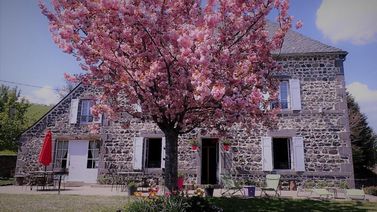 Maison D'Hotes La Nichee Rochefort-Montagne Buitenkant foto